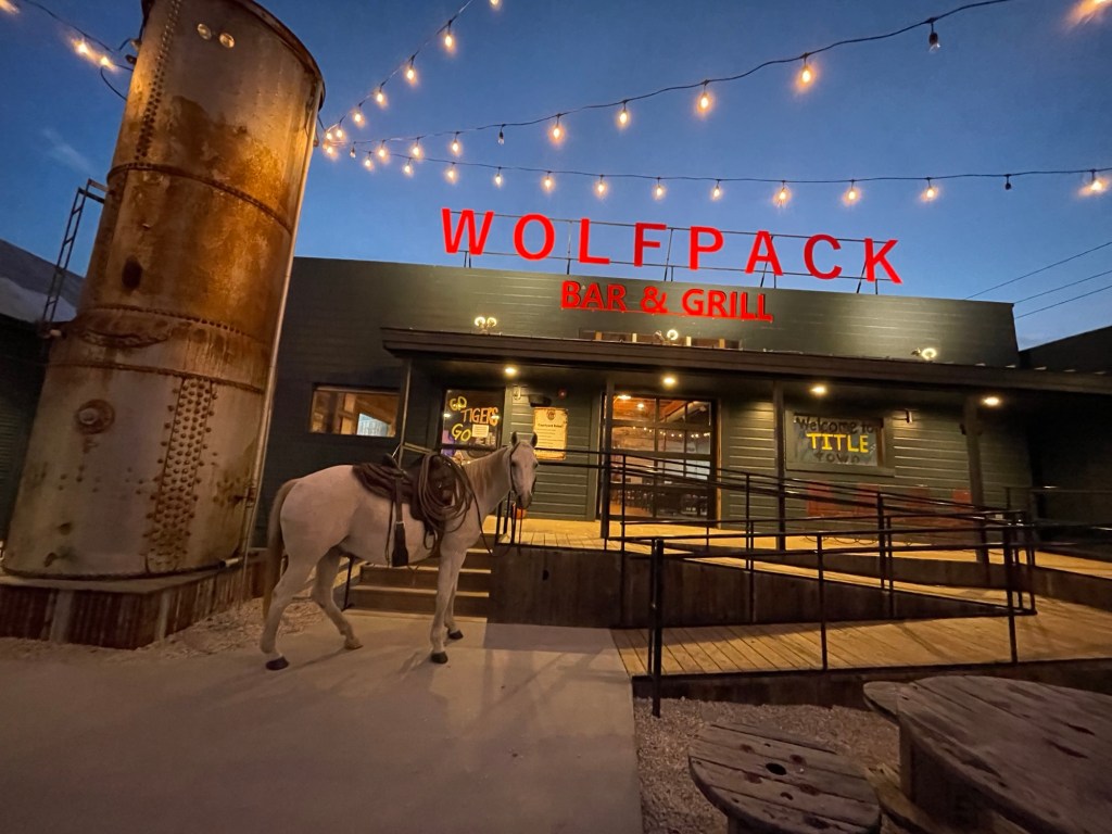 The Journey from Sailing Wolfpack to Wolfpack Bar & Grill
